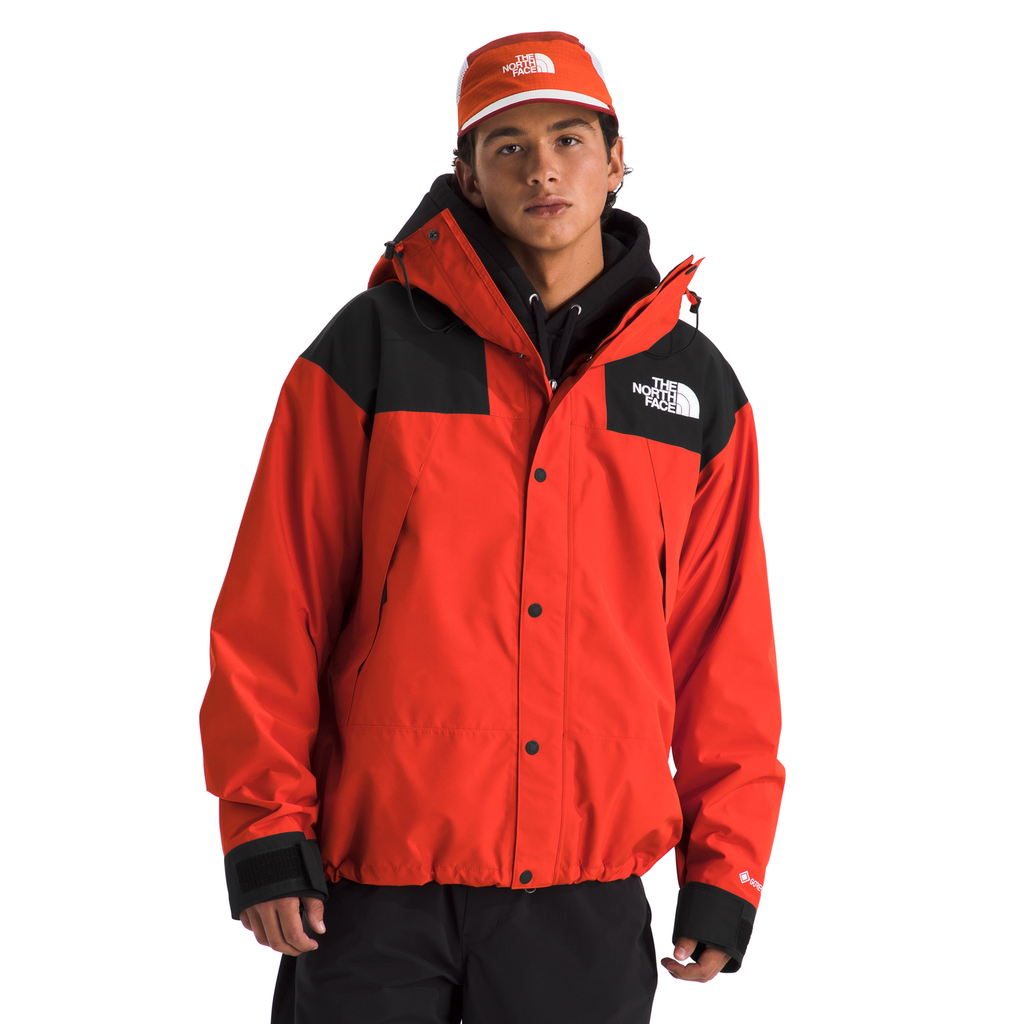 The North Face Men's GORE-TEX Mountain Jacket