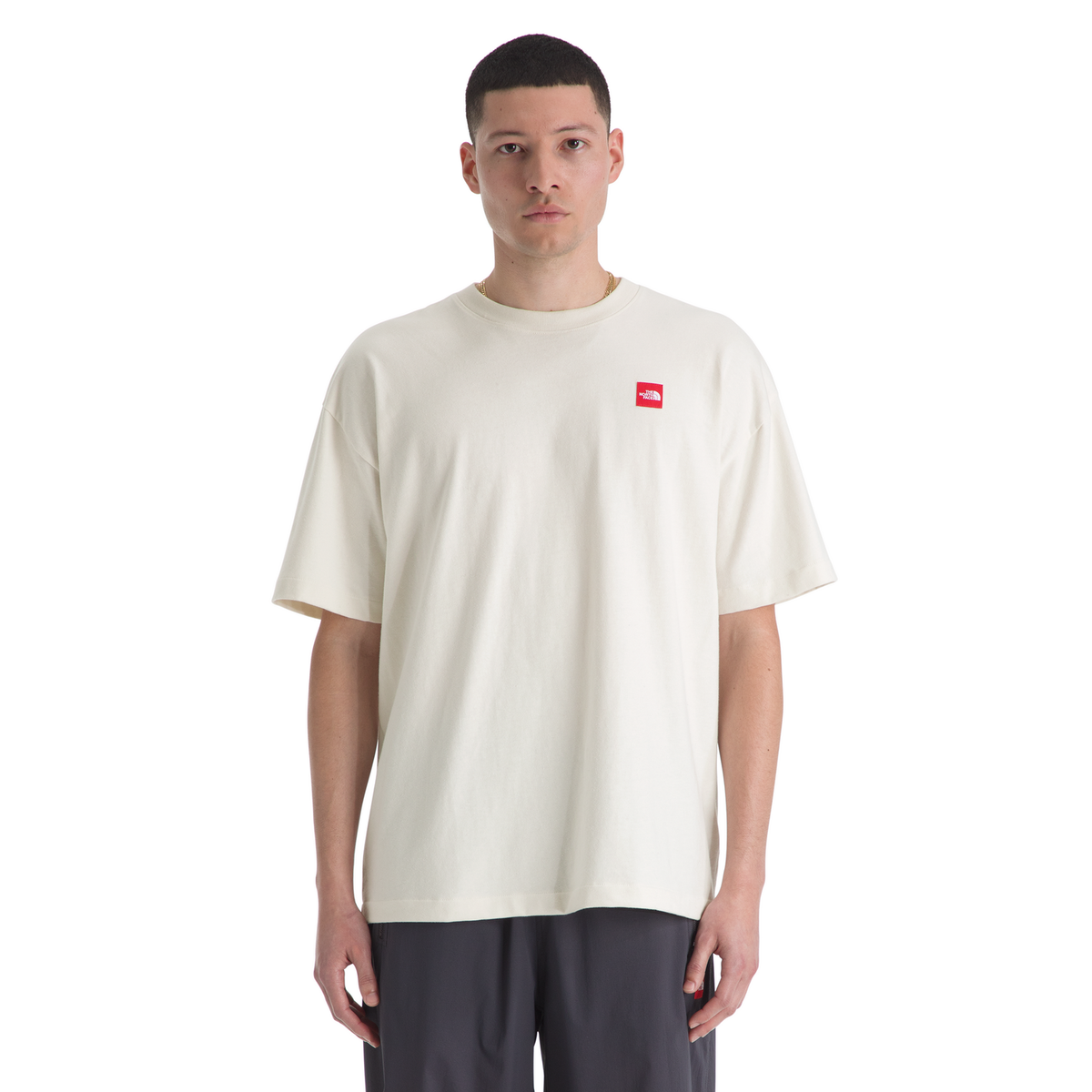 The North Face Men's Red Box Short-Sleeve T-Shirt in White Dune